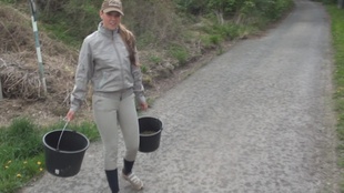 3. Download full pics of 大山雀 from czechamateurs.com