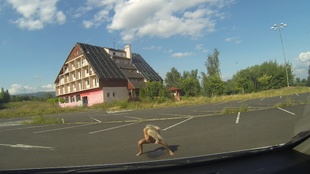 4. Download full pics of The cheapest sex without the rubber from czechbitch.com