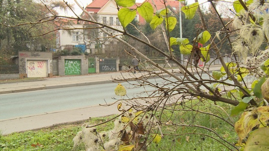 12. Download full pics of Nympho rides a grandpa in bushes from czechav.com