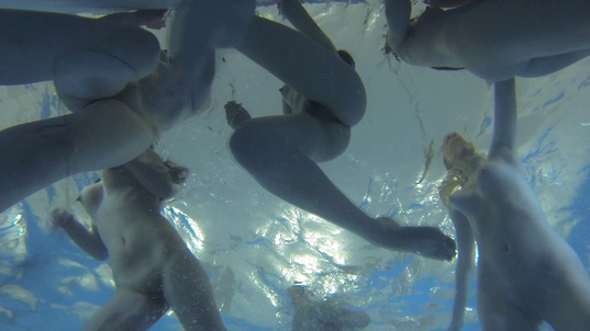 1. Download full pics of Stunning Czech Lesbians Go Wild – Wettest Action Ever – Part 5 from czechlesbians.com