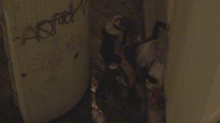 10. Download full pics of Street Whore Caught by the Filthiest Voyeur Around! from czechsnooper.com