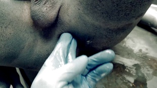 1. Download full pics of UFO from Roswell (Gay Edition) from czechgav.com