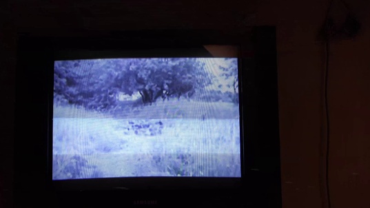 1. Download full pics of 井戸の少女 from goperv.com