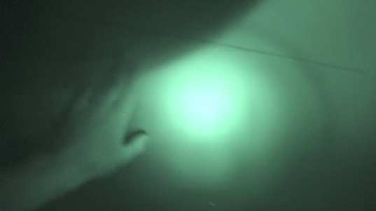 4. Download full pics of The fear comes after dark from horrorporn.com