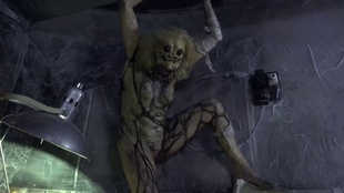 2. Download full pics of Female spider from horrorporn.com