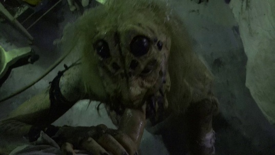 3. Download full pics of Female spider from horrorporn.com