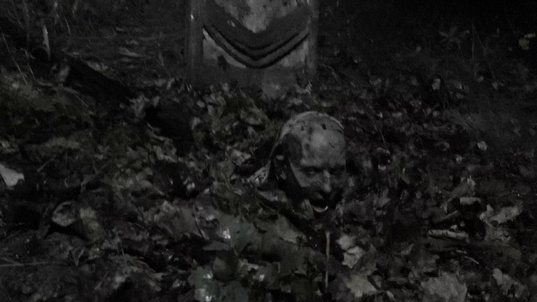 3. Download full pics of Walking zombies from horrorporn.com