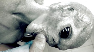 1. Download full pics of Roswell UFO from horrorporn.com