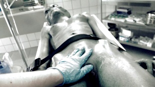 4. Download full pics of Roswell UFO from horrorporn.com