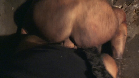 2. Download full pics of The Exorcist from horrorporn.com