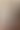 自拍照与公鸡