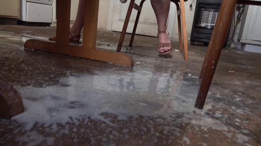 2. Download full pics of Messy Kitchen Mayhem from perversefamily.com