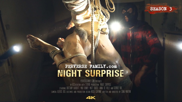 Perverse Family: Night Surprise