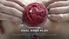 Poster of Anal Rose Play