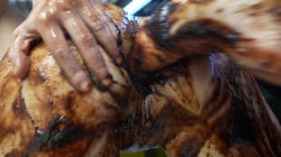 1. Download full pics of Serina Tastes Her Own Ass from powerfetish.com