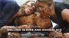 Poster of Rolling in Piss and Chocolate