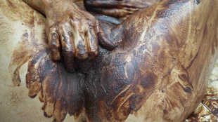 4. Download full pics of Tasty Anal Licking from goperv.com