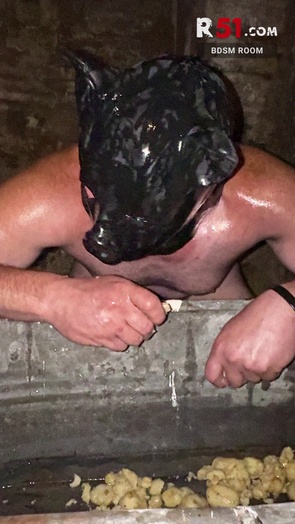 8. Download full pics of Day 12 - Pet Play Fetish Basement from r51.com