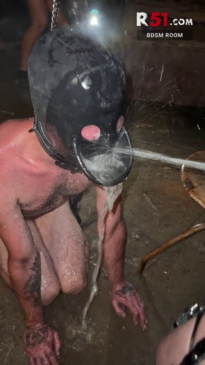 5. Download full pics of Day 12 - Human WC from r51.com