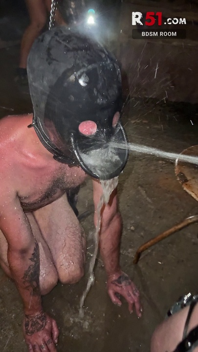 Day 12 - Human WC