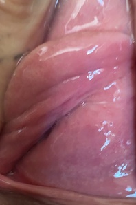 4. Download full pics of Shaved Wet Pussy 🤤 from selfiefetish.com