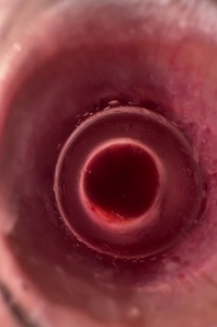 2. Download full pics of Opened Anal 🥵 from selfiefetish.com