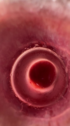 6. Download full pics of Ready to get inside? 😏 from goperv.com