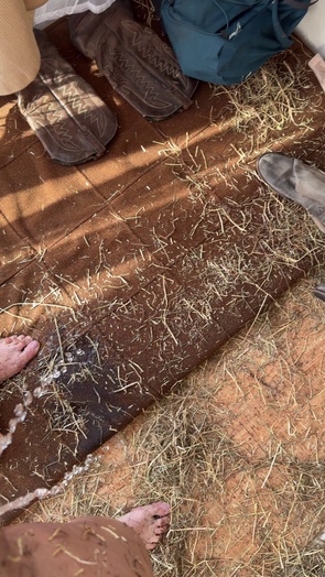 3. Download full pics of Black horse head on, straw at my feet 🐴 from selfiefetish.com