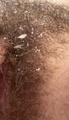 Selfie Fetish: Hairy cunt in your face, handle it.