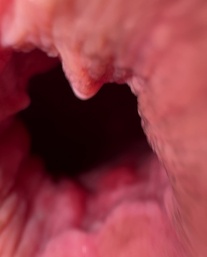 Selfie Fetish: Teppichspalte und rosa Nägel, die kräftig ziehen 😈