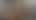 Dozens of pussies for one cock in 180°