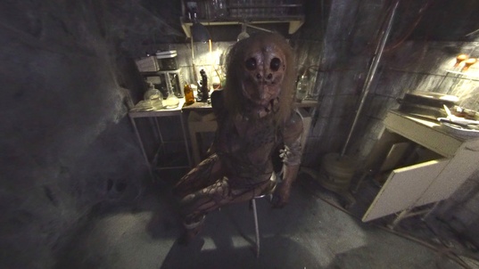 1. Download full pics of Female spider in 180° from xvirtual.com